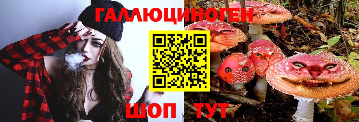 Галлюциногенные грибы Psilocybine cubensis Ноябрьск