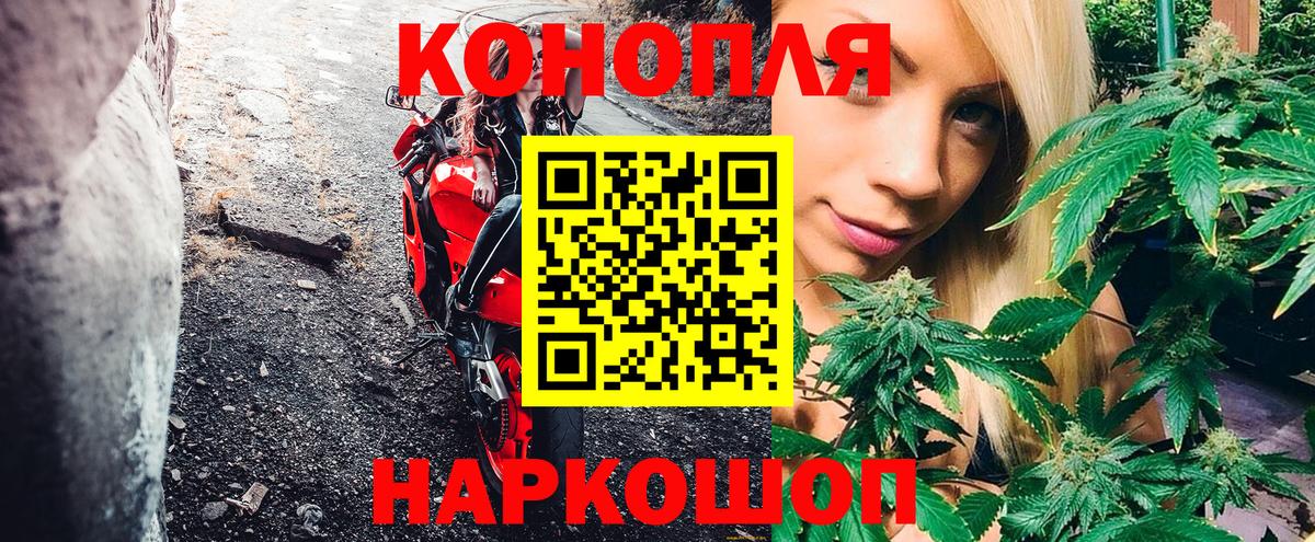 Бошки марихуана сатива  МАРИХУАНА Bruce Banner  Шишки марихуана планчик  Ноябрьск  Вход с VPN 